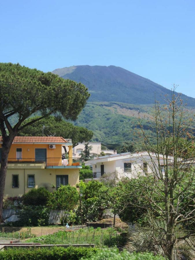 Casa Del Cappero Leilighet Torre del Greco Eksteriør bilde